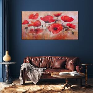 Skleneny obraz Maľba maki kvety