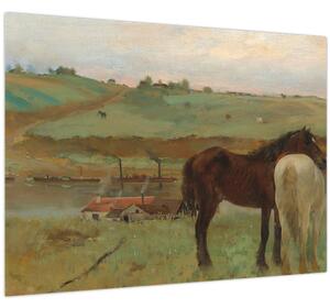 Obraz - Edgar Degas, Horses in a Meadow, reprodukcia (70x50 cm)