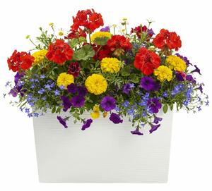 PLASTOVÝ KVETINÁČ BLOOM RIFLO 36X56X20 CM KRÉMOVÁ