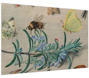 Obraz - Jan van Kessel the Elder, Insects and a Sprig of Rosemary, reprodukcia (90x60 cm)