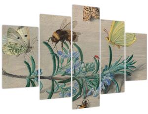 Obraz - Jan van Kessel the Elder, Insects and a Sprig of Rosemary, reprodukcia (150x105 cm)