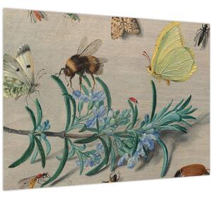 Obraz - Jan van Kessel the Elder, Insects and a Sprig of Rosemary, reprodukcia (70x50 cm)