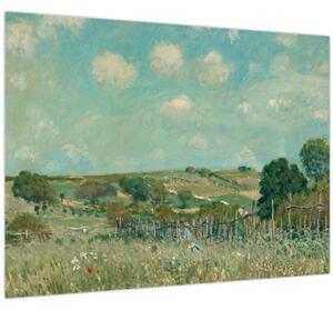 Obraz - Alfred Sisley, Meadow, reprodukcia (70x50 cm)