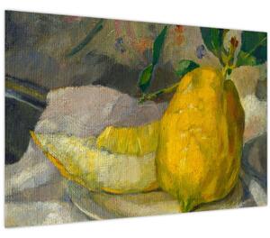 Obraz - French 19th Century, Melon and Lemon, reprodukcia (90x60 cm)