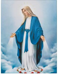 Nádherný obraz Svätá Matka Nepoškvrnená na plátne, canvas 30 x 40 cm