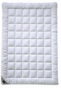 LETNÁ PRIKRÝVKA, 155/220 cm, polyester Billerbeck - Prikrývky & vankúše, Online Only
