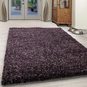Ayyildiz koberce Kusový koberec Enjoy 4500 lila - 120x170 cm