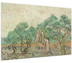 Obraz - Vincent van Gogh, The Olive Orchard, reprodukcia (90x60 cm)