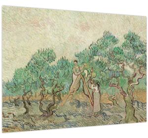 Obraz - Vincent van Gogh, The Olive Orchard, reprodukcia (70x50 cm)