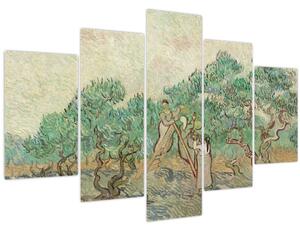 Obraz - Vincent van Gogh, The Olive Orchard, reprodukcia (150x105 cm)