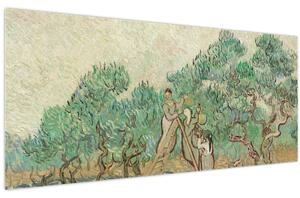 Obraz - Vincent van Gogh, The Olive Orchard, reprodukcia (120x50 cm)