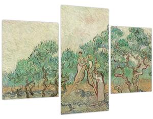 Obraz - Vincent van Gogh, The Olive Orchard, reprodukcia (90x60 cm)