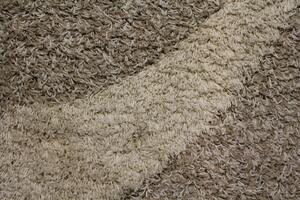 AKCIA: Kusový koberec Super Shaggy 6569-65 - 200x290 cm
