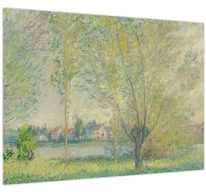 Obraz - Claude Monet, The Willows, reprodukcia (70x50 cm)