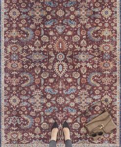 Nouristan - Hanse Home koberce Kusový koberec Asmar 104004 Bordeaux / Red - 80x150 cm