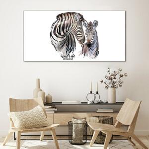 Skleneny obraz Zebra animal strips