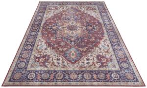 Nouristan - Hanse Home koberce Kusový koberec Asmar 104000 Plum / Red - 120x160 cm