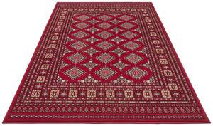 Nouristan - Hanse Home koberce Kusový koberec Mirkan 104108 Red - 200x290 cm