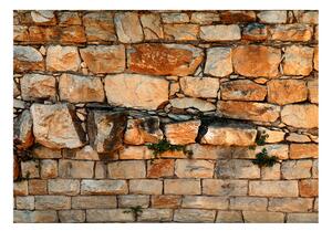 Fototapeta - Kamenný múr VI