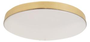 Stropné LED svietidlo Maya, 1x LED 15w, 4000k, g