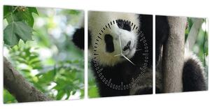 Obraz - Panda na strome (s hodinami) (90x30 cm)