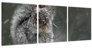 Obraz - Veverička v zime (s hodinami) (90x30 cm)