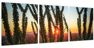 Obraz - Rastliny (s hodinami) (90x30 cm)