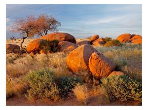 Fototapeta - Africké krajiny, Namíbia
