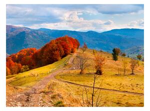 Fototapeta - Jesenná krajina v Karpatoch