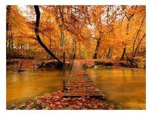 Fototapeta - Jesenný most