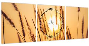 Obraz - Traviny na slnku (s hodinami) (90x30 cm)