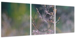 Obraz - Detail traviny (s hodinami) (90x30 cm)