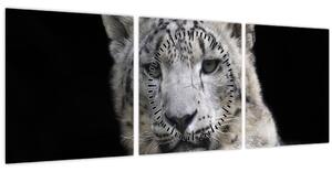 Obraz - Leopard snežný (s hodinami) (90x30 cm)