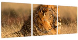 Obraz - Národný park Etosha (s hodinami) (90x30 cm)