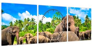 Obraz - Slony, Sri Lanka (s hodinami) (90x30 cm)