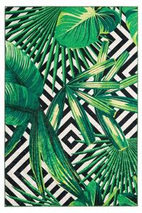 Obsession koberce DOPREDAJ: 160x230 cm Kusový koberec Exotic 214 green - 160x230 cm