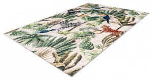 Obsession koberce Kusový koberec Exotic 213 multi - 120x170 cm