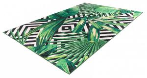 Obsession koberce Kusový koberec Exotic 214 green - 120x170 cm