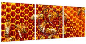 Obraz - Medový plást (s hodinami) (90x30 cm)