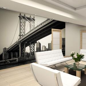 Fototapeta - Manhattanskej most, New York + zadarmo lepidlo - 200x154