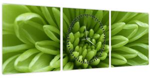 Obraz - Makro snímka rastliny (s hodinami) (90x30 cm)