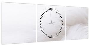Obraz - Biele pierko (s hodinami) (90x30 cm)