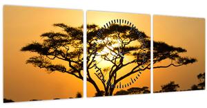Obraz - Africká savana (s hodinami) (90x30 cm)