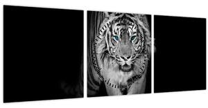 Obraz - Tiger s modrými očami (s hodinami) (90x30 cm)