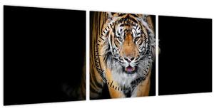 Obraz - Tiger (s hodinami) (90x30 cm)