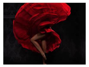 Fototapeta - Flamencová tanečnica + zadarmo lepidlo - 400x309
