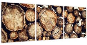 Obraz - Drevo v snehu (s hodinami) (90x30 cm)