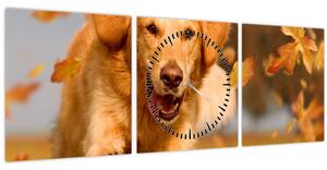 Obraz - Zlatý retriever (s hodinami) (90x30 cm)