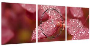 Obraz - Makro snímka lístka (s hodinami) (90x30 cm)