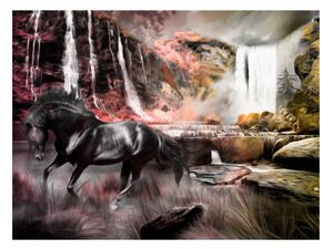 Fototapeta - Čierny kôň pri vodopáde